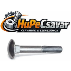 Kapupánt csavar M8x70