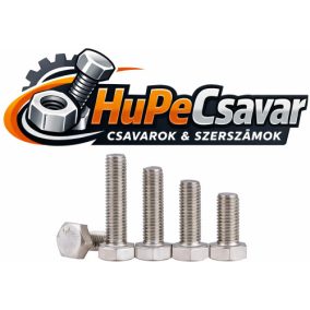 Hatlapfejű csavar 10x20